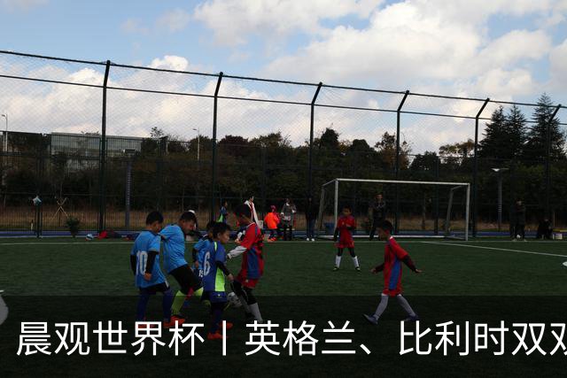 晨观世界杯丨英格兰、比利时双双绝境逆转晋级16强